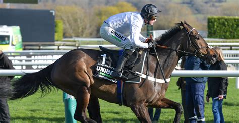 champion hurdle champion hurdle 2018 bet|The Unibet Champion Hurdle .